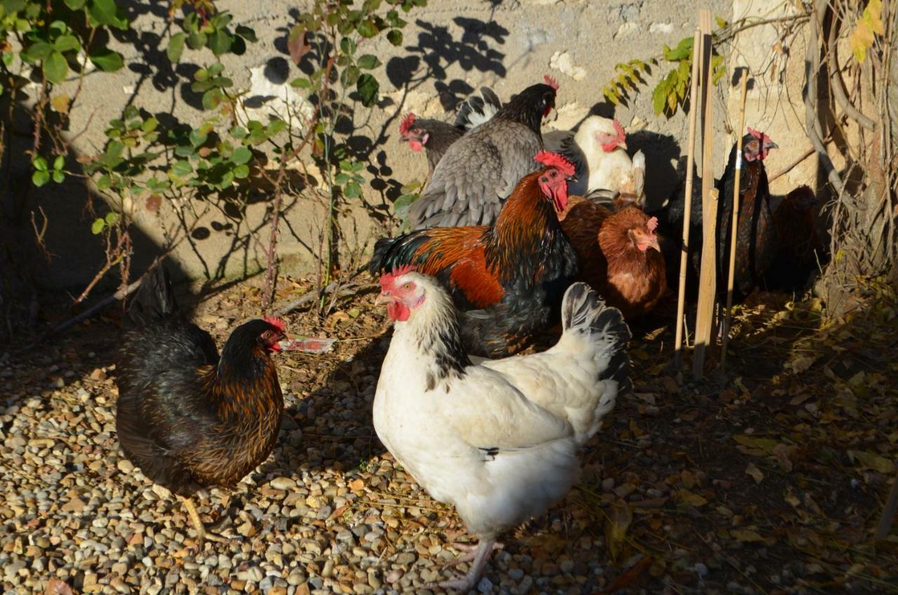 Maison D'Autrefois Mareau-aux-Prés Esterno foto